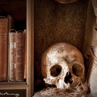 human skull and books photograph