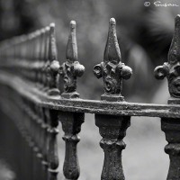 art print of vintage wrought iron fence