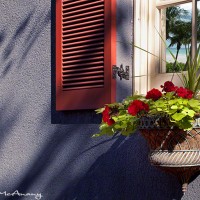 art print surreal scene in windows of building with red shutters