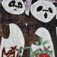 panda bear graffiti drawing photograph