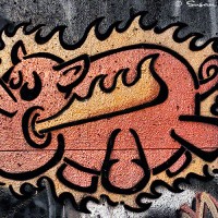 pig graffiti drawing art photo