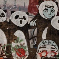 panda bears graffiti art photograph