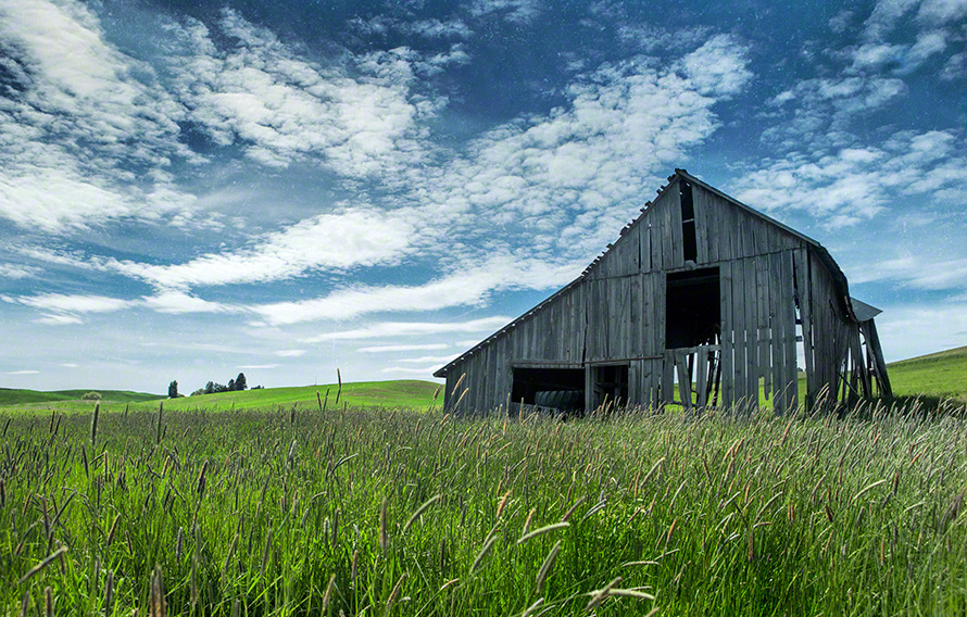 weathered barn in field art photograph