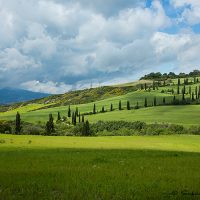 Tuscany landscape scene
