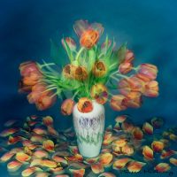 tulips in vase abstract art